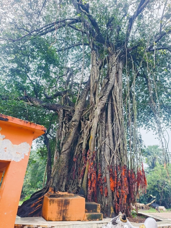 इतिहास का अनमोल अध्याय