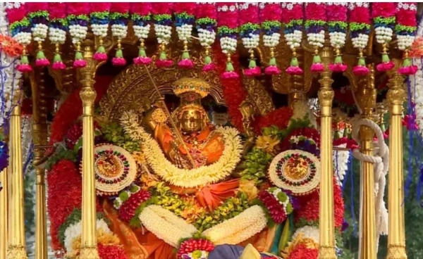 Jumbu savari