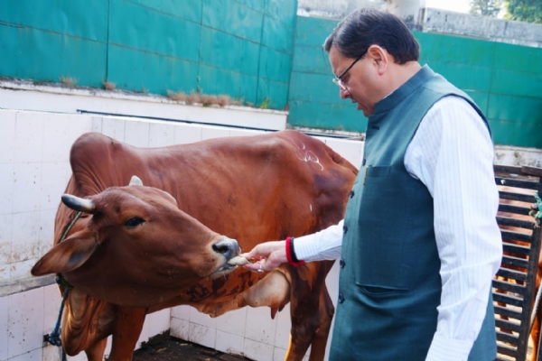 मुख्यमंत्री धामी  मुख्यमंत्री आवास में गोवर्धन पूजा करते।