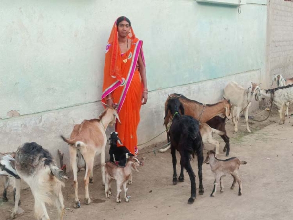 छत्तीसगढ़ में महतारी वंदन योजना से आत्मनिर्भर बन रही महिलाएं छत्तीसगढ़ में महतारी वंदन योजना से आत्मनिर्भर बन रही महिलाएं