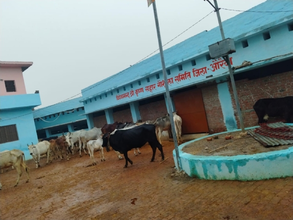 फोटो फोटो