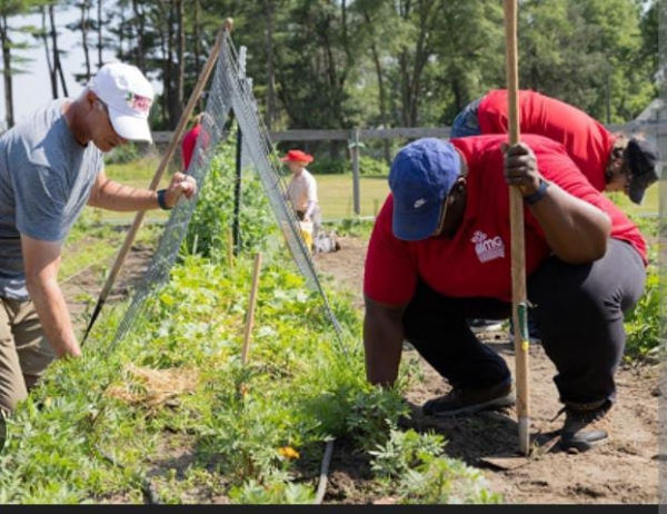 माली प्रशिक्षण करने को प्रतीकात्मक छाया चित्र माली प्रशिक्षण करने को प्रतीकात्मक छाया चित्र
