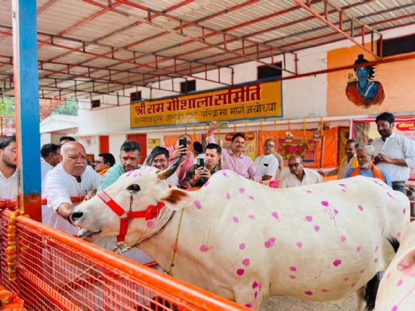 पूजन श्रीराम गौशाला पूजन श्रीराम गौशाला