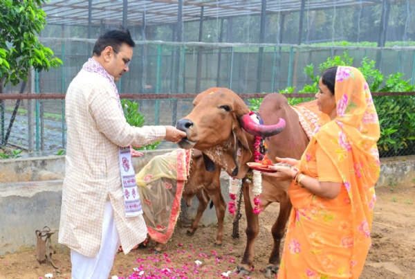 मुख्यमंत्री भजनलाल शर्मा ने मुख्यमंत्री निवास पर किया गौ-पूजन मुख्यमंत्री भजनलाल शर्मा ने मुख्यमंत्री निवास पर किया गौ-पूजन