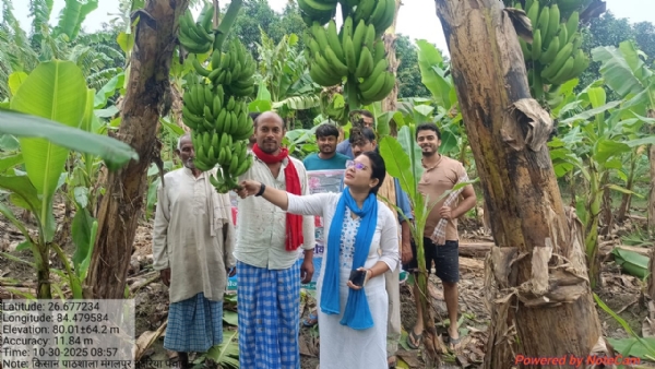 केले की खेती से किसान होंगे समृद्ध, किसान पाठशाला का हुआ आयोजन केले की खेती से किसान होंगे समृद्ध, किसान पाठशाला का हुआ आयोजन