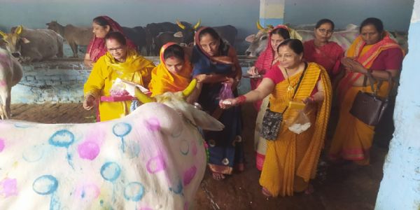 गौमातुः पूजनं कृत्वा गोपाष्टमी पर्व आचरितम्। तुलसीविवाहः 2 नवम्बरदिनाङ्के भविष्यति