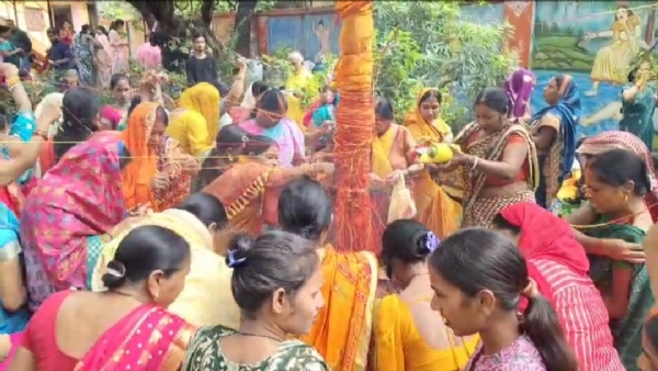 आंवला पेड़ पर पूजा करती महिलाएं आंवला पेड़ पर पूजा करती महिलाएं