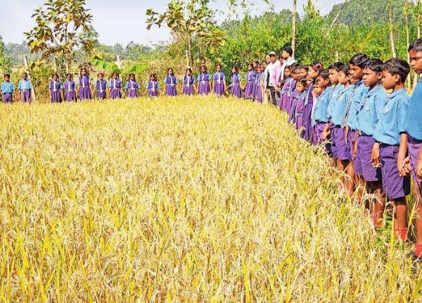 कोंडागांव के पीकड़भाटा गांव का अनोखा स्कूल कोंडागांव के पीकड़भाटा गांव का अनोखा स्कूल