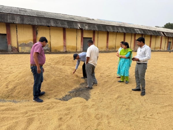 धान खरीद प्रक्रिया का निरीक्षण करते जिला खाद्य एवं विपणन अधिकारी कमलेश कुमार पांडेय। धान खरीद प्रक्रिया का निरीक्षण करते जिला खाद्य एवं विपणन अधिकारी कमलेश कुमार पांडेय।