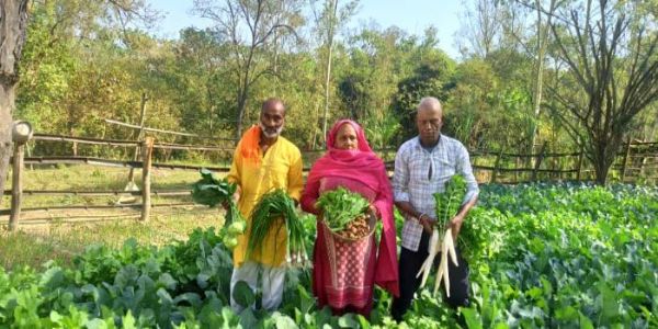 प्राकृतिककृषिः अवर्तत सहयोगिनी, जमनोटेः कृषकाणाम् आये महती वृद्धिः