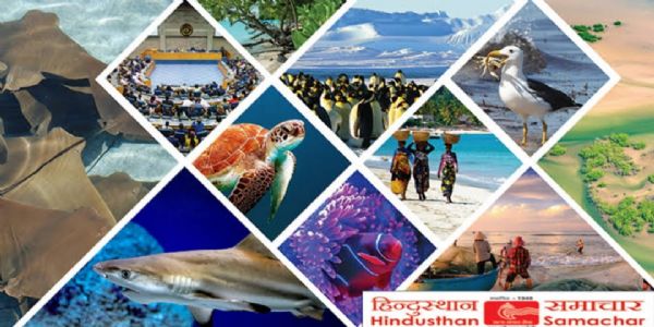 अधुना चतुर्ण्णां गवां मुफ्त! सर्वकारस्य नूतनयोजनया बहुरेंगे इति पशुपालकानां दिनम्