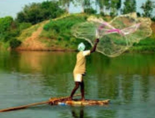 निषाद राज बोट सब्सिडी योजना निषाद राज बोट सब्सिडी योजना