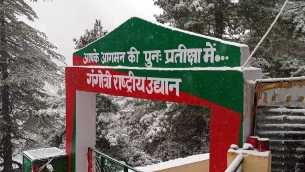 इस साल पहुंचे 29162 पर्यटक, कमाई भी हुई बंपर इस साल पहुंचे 29162 पर्यटक, कमाई भी हुई बंपर