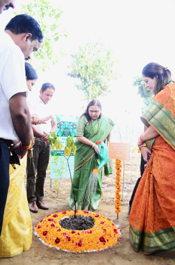 सिंदूर का पौधा लगाकर कुलपति ने किया मियावाकी वन का उद्घाटन* सिंदूर का पौधा लगाकर कुलपति ने किया मियावाकी वन का उद्घाटन*