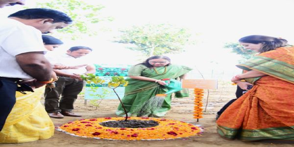 मियावाकी–पद्धत्याः माध्यमेन गोरखपुर–विश्वविद्यालये सघनवनं विकसितं भविष्यति - कुलपतिः