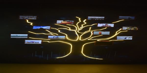 एकता नगरे भारत पर्वणः-2025 थीम पैवेलियन इत्यस्य मुख्यम् आकर्षणं ‘ग्रीन ट्री’ विकासः