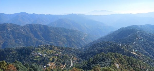 शिमला में धूप