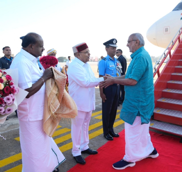 Vice President Vice President