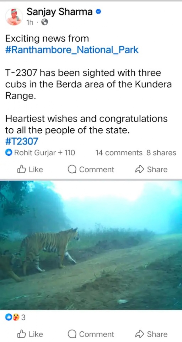 बाघिन के शावकों को जन्म देने की जानकारी वन मंत्री संजय शर्मा ने सोशल मीडिया पर साझा की। बाघिन के शावकों को जन्म देने की जानकारी वन मंत्री संजय शर्मा ने सोशल मीडिया पर साझा की।