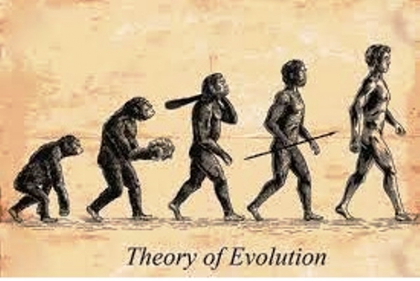 चार्ल्स डार्विन का विकासवाद का सिद्धांत की फोटो चार्ल्स डार्विन का विकासवाद का सिद्धांत की फोटो