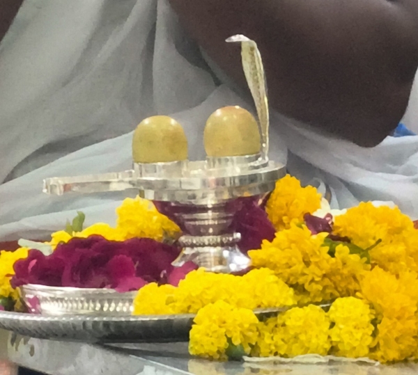 महाकालेश्वर मंदिर लाए गए सोमनाथ के पुरातात्विक अवशेषों से निर्मित दो दिव्य शिवलिंग महाकालेश्वर मंदिर लाए गए सोमनाथ के पुरातात्विक अवशेषों से निर्मित दो दिव्य शिवलिंग