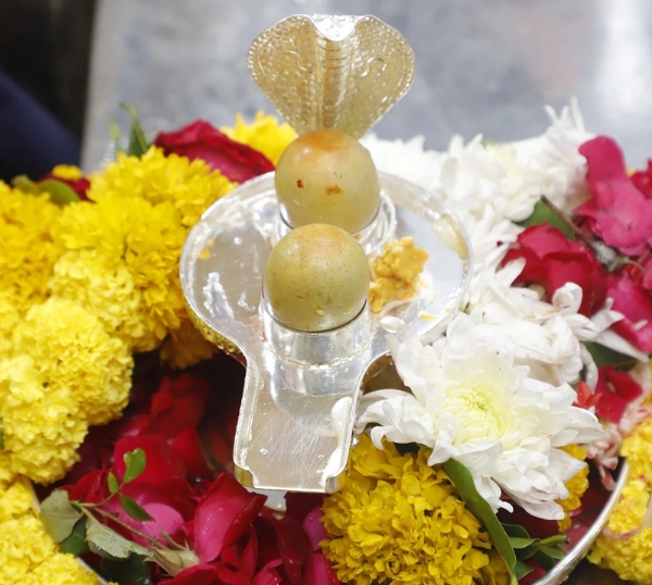 महाकालेश्वर मंदिर लाए गए सोमनाथ के पुरातात्विक अवशेषों से निर्मित दो दिव्य शिवलिंग महाकालेश्वर मंदिर लाए गए सोमनाथ के पुरातात्विक अवशेषों से निर्मित दो दिव्य शिवलिंग