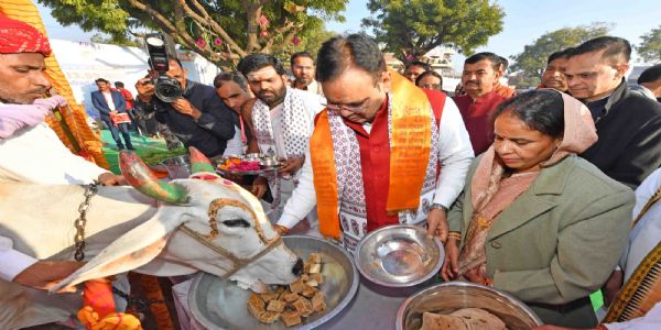 गवां सेवा अस्माकं संस्कृतिपरंपरयोः अभिन्नम् अंगम् - मुख्यमंत्री भजनलाल शर्मा