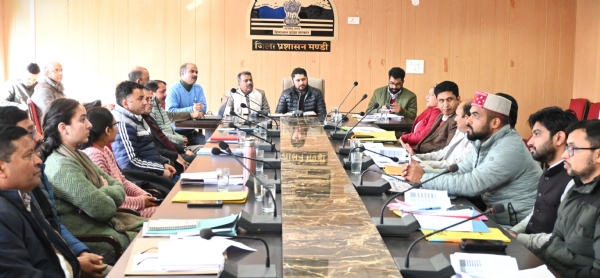 राजस्व अधिकारियों की बैठक की अध्यक्षता करते हुए उपायुक्त।