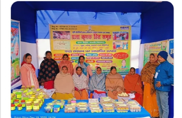 कार्यक्रम प्रदर्शित ब्यंजन फुड कार्यक्रम प्रदर्शित ब्यंजन फुड