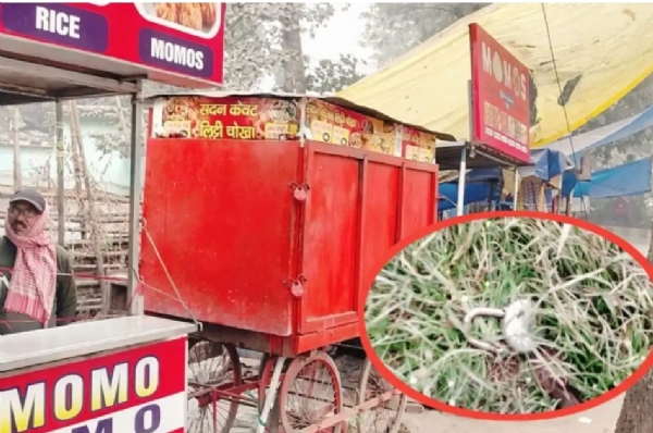 चोरों द्वारा तोड़े गए दुकान के ताले चोरों द्वारा तोड़े गए दुकान के ताले