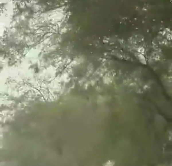 प्रतीकात्मक छवि