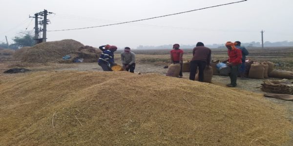 मध्यप्रदेशे बैतूलजनपदे सार्वजनिकनिजीसंधिपद्धत्या वैद्यकीयमहाविद्यालयस्य निर्माणं, मङ्गलवासरे जे.पी. नड्डा आधारशिलां स्थापयिष्यति।