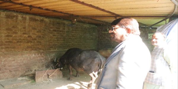 कृषकदुग्धोत्पादनं व्यवसायस्य इव संचालनीयम् : मंत्री पटेलः