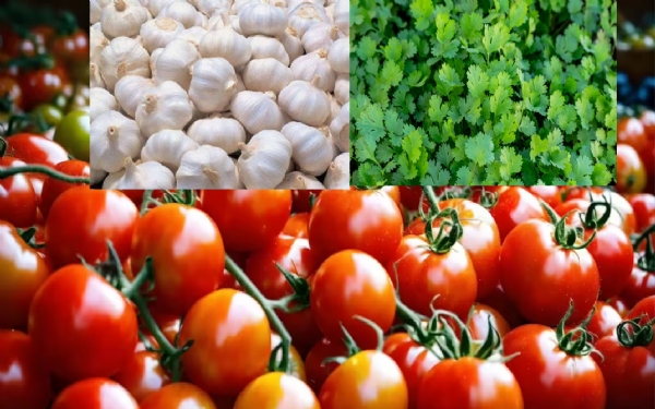 मप्र है देश का टमाटर हब, धनिया, लहसुन