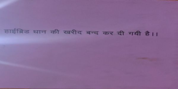 बाराबंक्याः राम नगरे हाइब्रिडधानस्य क्रयणं पिहितं, कृषकैर्दत्ता आंदोलनप्रदर्शनस्य संचेतना