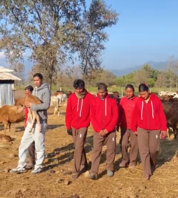 Gau Seva karte Nepali
