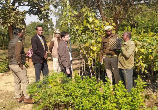 दिघिया पौधशाला का निरिक्षण करते डीएफओ तापस मिहिर व वन्यजीव प्रतिपालक भास्कर पांडेय। दिघिया पौधशाला का निरिक्षण करते डीएफओ तापस मिहिर व वन्यजीव प्रतिपालक भास्कर पांडेय।