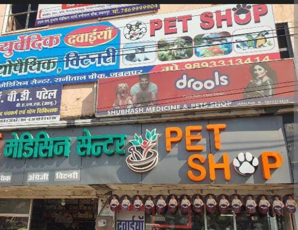 योगी सरकार पशुओं की दवाओं की दुकान की प्रतीकात्मक छाया चित्र योगी सरकार पशुओं की दवाओं की दुकान की प्रतीकात्मक छाया चित्र