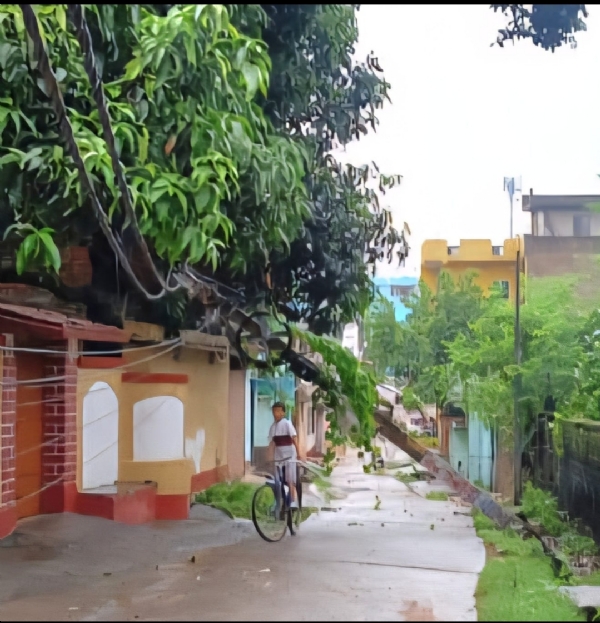 आम रास्ते पर गिरा हुआ बिजली पोल