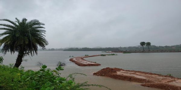 राजस्थाने वृष्टेः निरंतरता , अग्रिमेषु पञ्चसु दिनेषु महद्वृष्टेः अनुमानम्