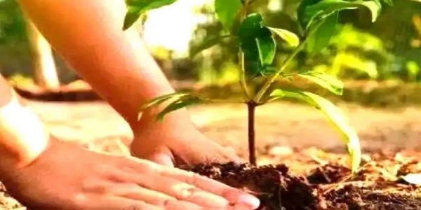 मध्यप्रदेशः - एक बगिया मां के नाम परियोजनायाः प्रशिक्षणम् अद्य भोपाले
