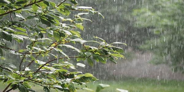 पुर्वीसिंहभूमिः वर्षायां रांचीं त्यक्तवान्, रांची द्वितीयस्थाने अस्ति