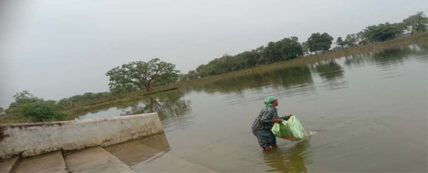 बोरिंदा में निर्मित अमृत सरोवर