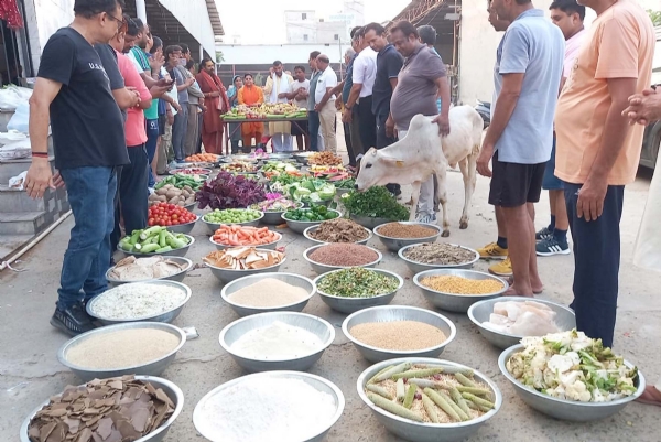 गुरुग्राम में गऊओं के संरक्षण का संदेश देने को गऊओं को परोसा गया छप्पन भाग।