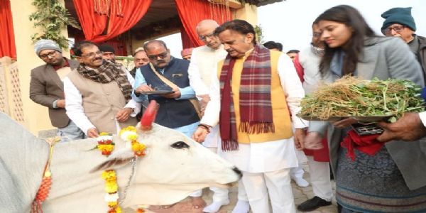 बसामनमामा गौवंशविहारस्य गोलोकदर्शनमहोत्सवस्य शुभारम्भः, नववर्षे उपमुख्यमन्त्री शुक्लेन गौपूजनं कृतम्