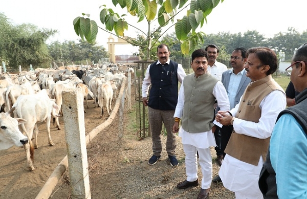 बसामन मामा गौअभ्यारण्य (फाइल फोटो) बसामन मामा गौअभ्यारण्य (फाइल फोटो)