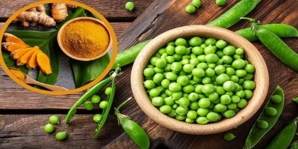 जबलपुरे अद्य भविष्यति मटर महोत्‍सवस्य आयोजनम्