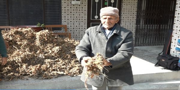 प्राकृतिककृष्या अर्जितं, सेवानिवृत्तप्राचार्यः आधिक्येन क्विंटलपरिमिता हरिद्रा उत्पादिता