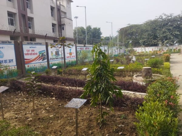 नक्षत्र वाटिका में लगे पौधे