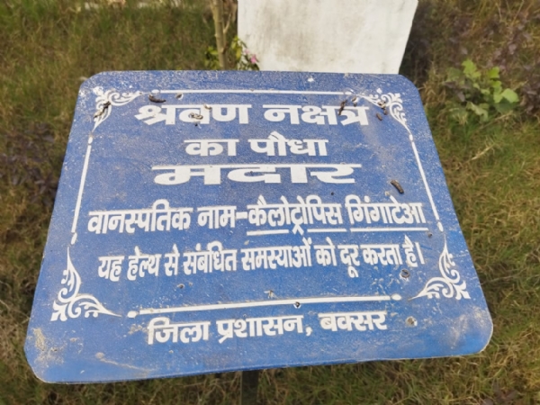 पौधे के आगे लगा नामपटी